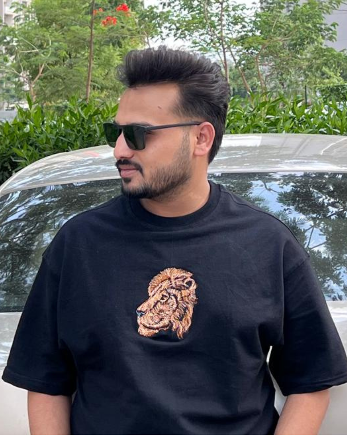 King Lion