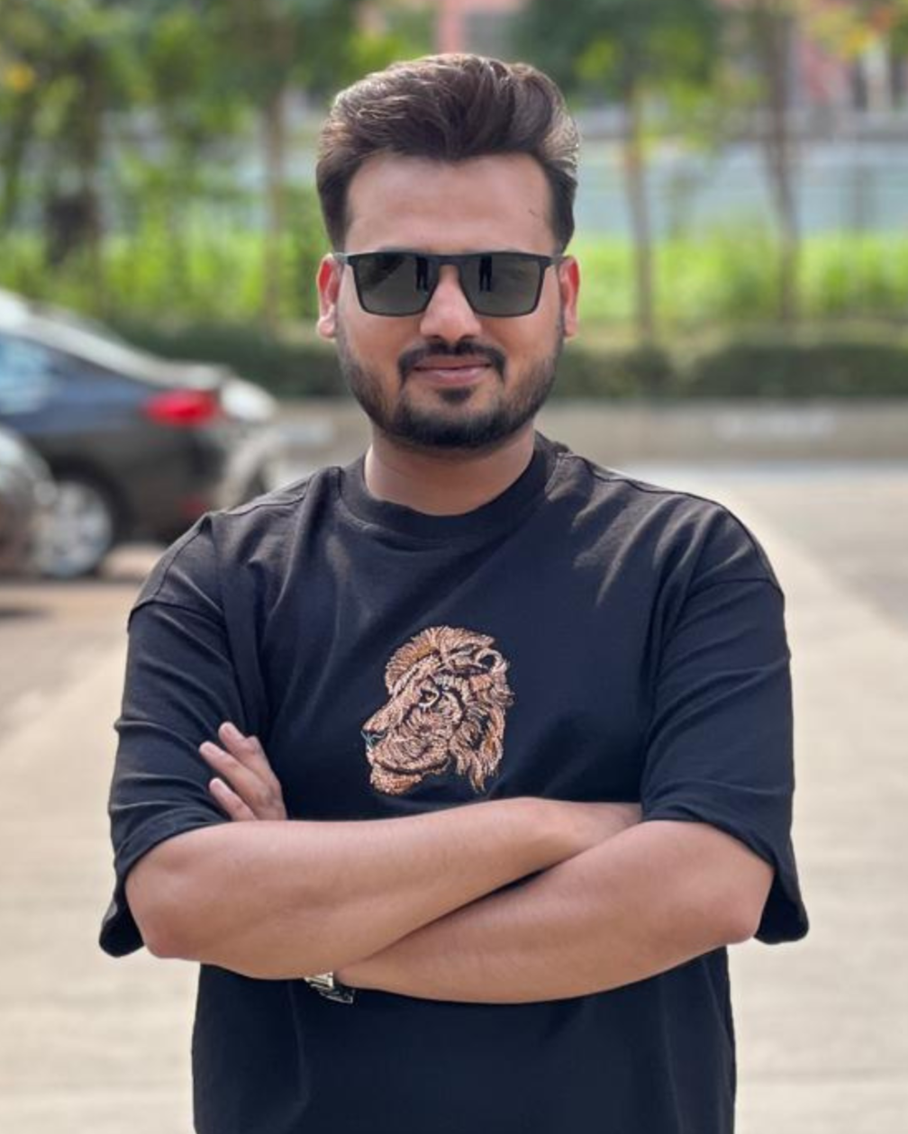 King Lion